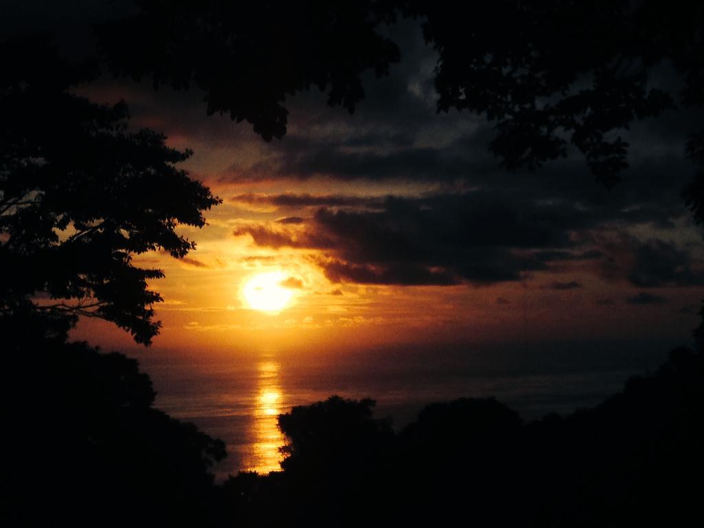 Tree Of Life Cabinas Dominical Exterior foto